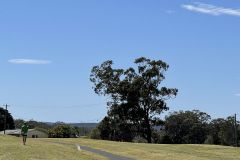 eIMG_0323